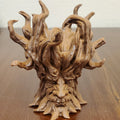 Tree With Face
