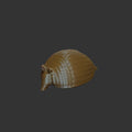 Armadillo