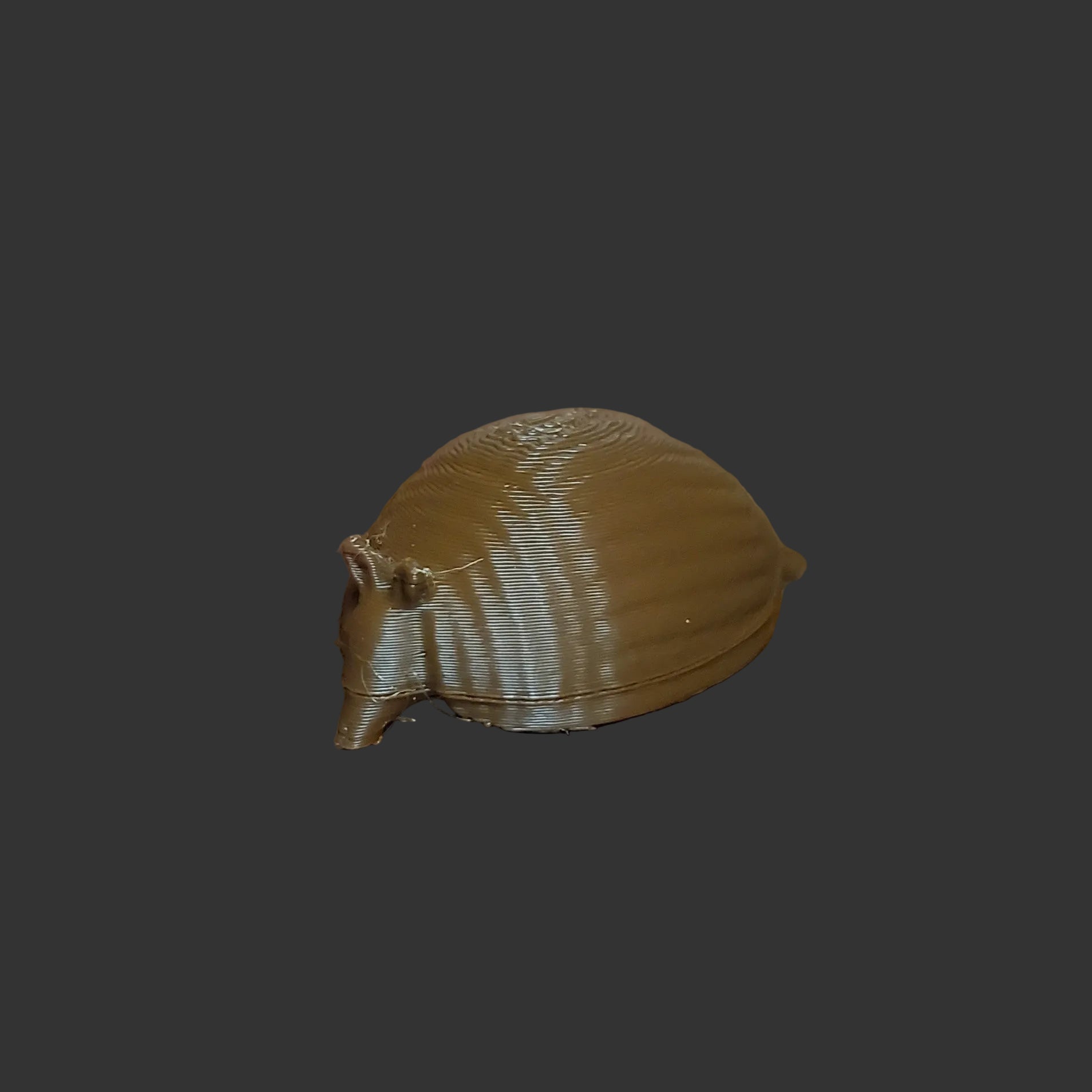 Armadillo