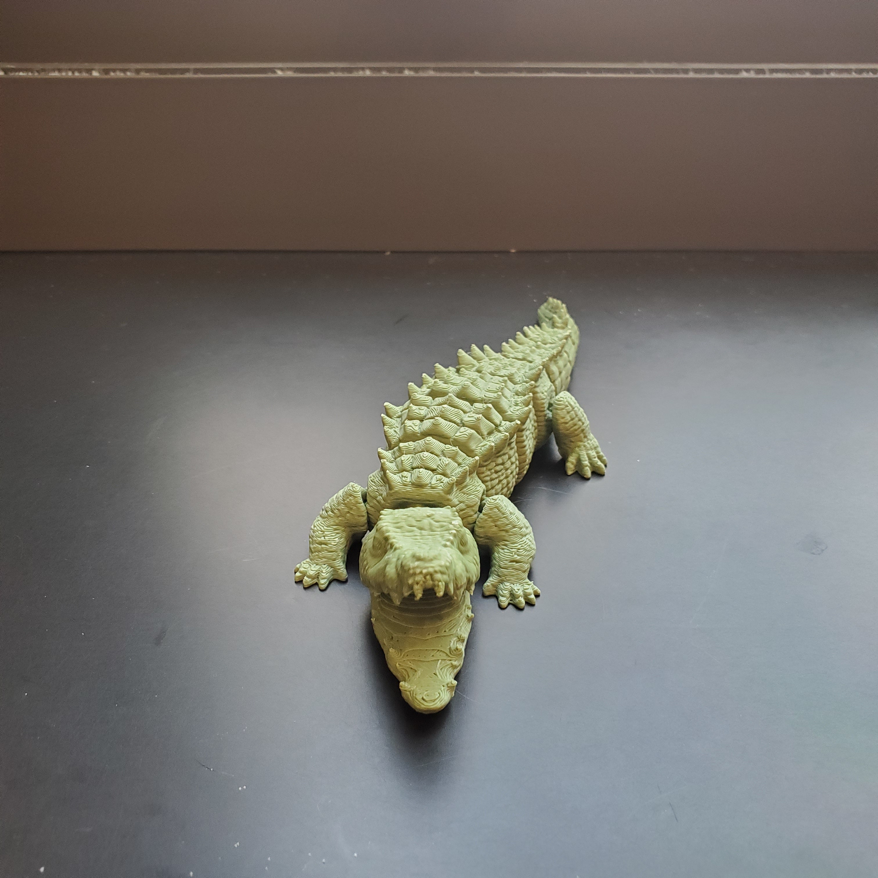 Crocodile