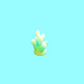 Coral C