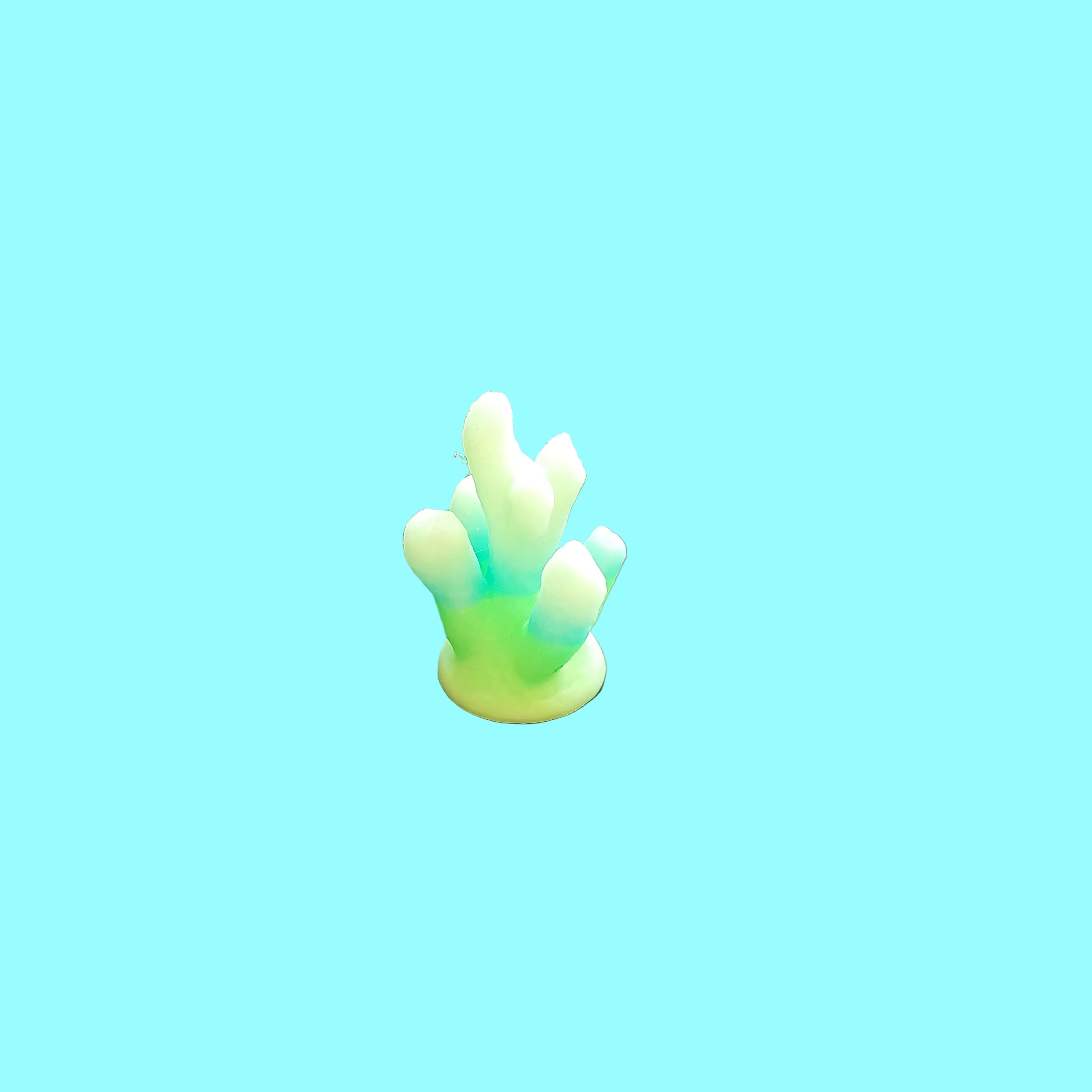 Coral C