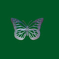 Flat Butterfly