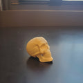 Ornate Skull