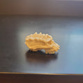 Troll Skull