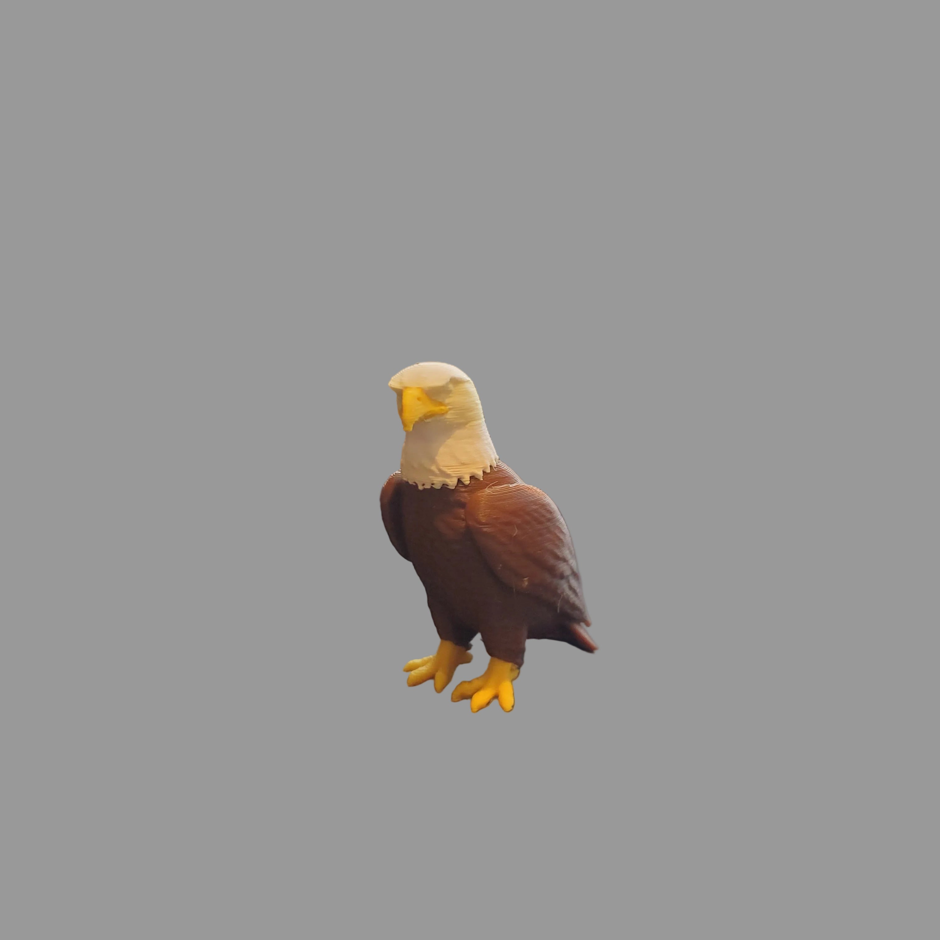 Eagle