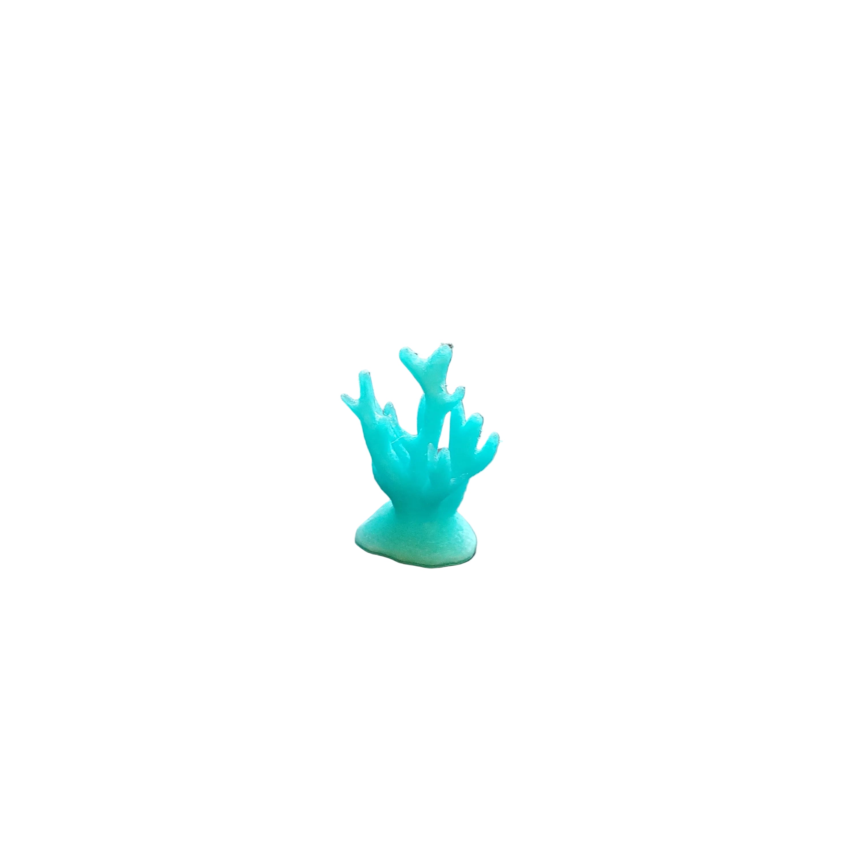Coral B
