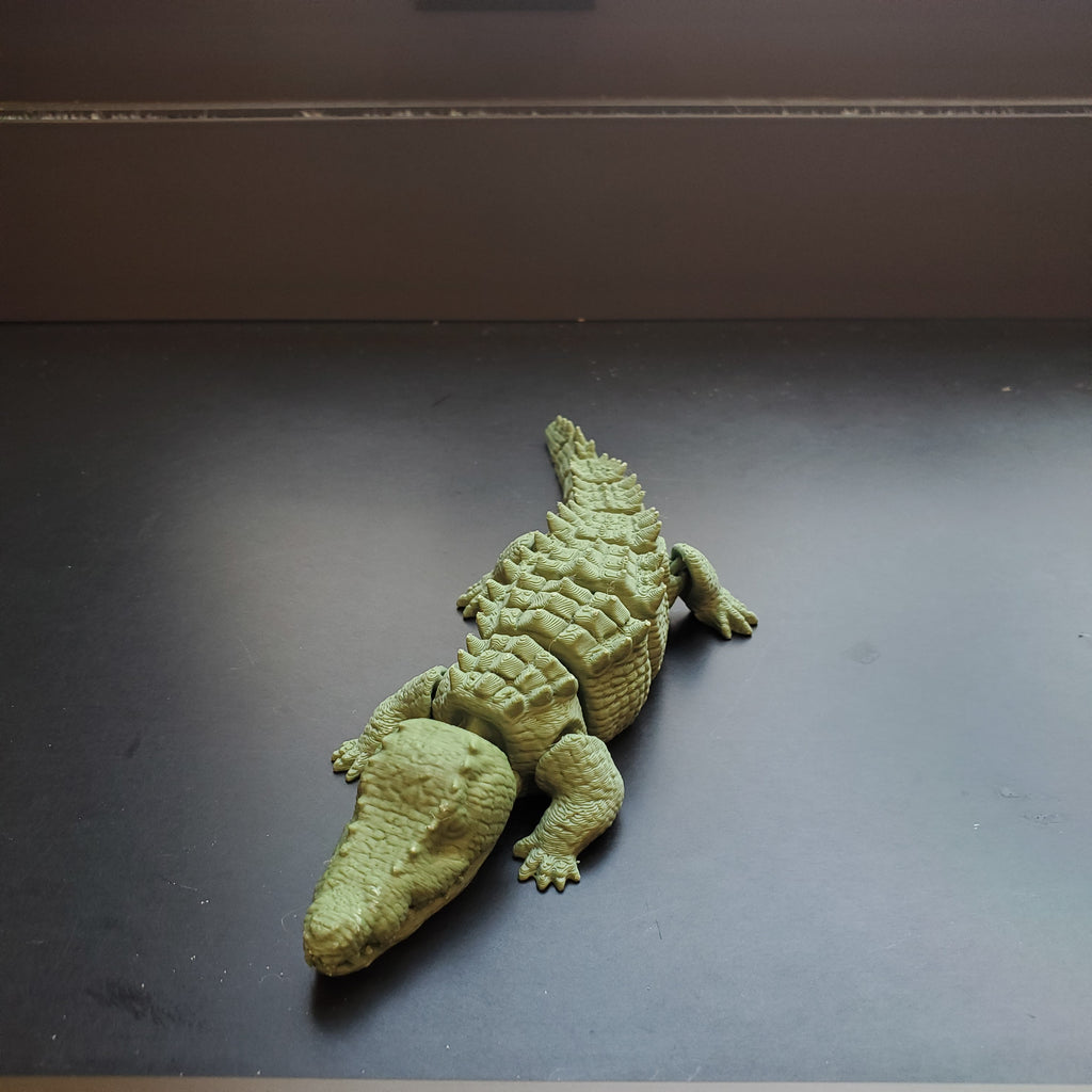 Crocodile