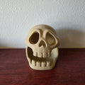 Skull Cave