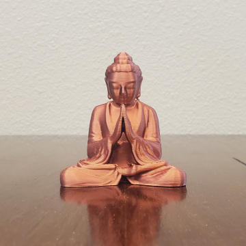 Praying Buddha
