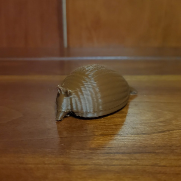 Armadillo