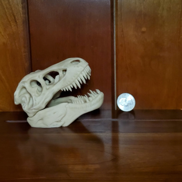 T-Rex Skull